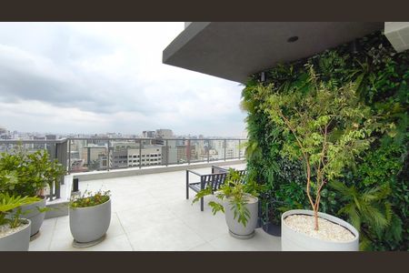 Apartamento à venda com 81m², 3 quartos e 1 vagaTerraço