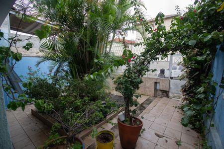 Casa à venda com 360m², 4 quartos e 4 vagasQuintal