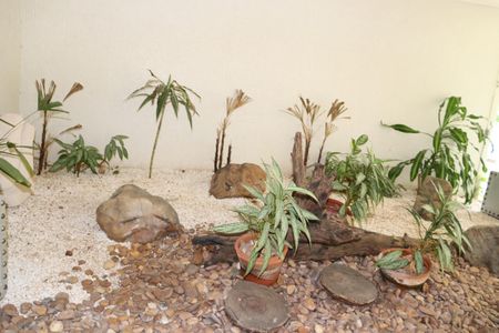 Apartamento à venda com 140m², 4 quartos e 1 vagaÁrea Comum