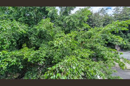 Casa à venda com 75m², 3 quartos e sem vagaVista da Sala