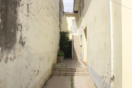 Casa para alugar com 270m², 3 quartos e 4 vagasQuintal