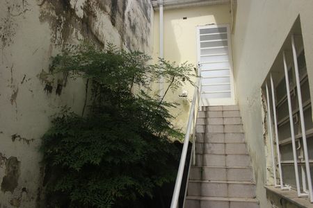 Casa para alugar com 270m², 3 quartos e 4 vagasQuintal