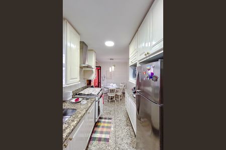 Apartamento à venda com 330m², 4 quartos e 4 vagasCozinha