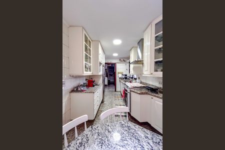 Apartamento à venda com 330m², 4 quartos e 4 vagasCozinha