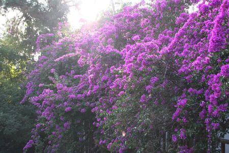 Casa de condomínio à venda com 650m², 5 quartos e 8 vagasÁrea comum