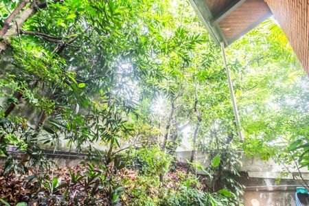 Casa de condomínio à venda com 650m², 5 quartos e 8 vagasQuintal