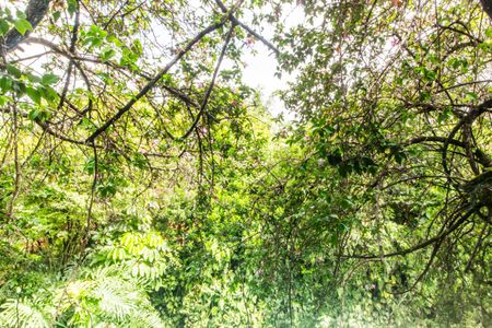 Casa de condomínio à venda com 650m², 5 quartos e 8 vagasVista Varanda Quarto 1