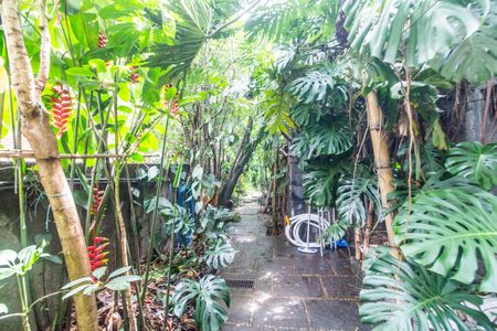 Casa de condomínio à venda com 650m², 5 quartos e 8 vagasQuintal