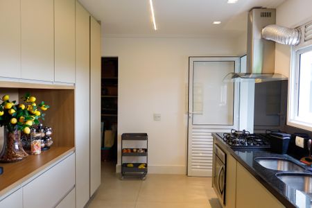 Apartamento à venda com 254m², 4 quartos e 4 vagasCozinha