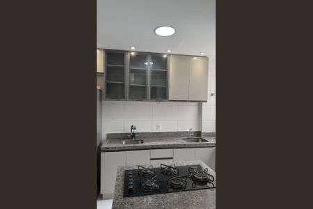 Apartamento para alugar com 49m², 2 quartos e 1 vagaCozinha