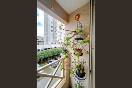 Apartamento para alugar com 72m², 3 quartos e 1 vagaVaranda