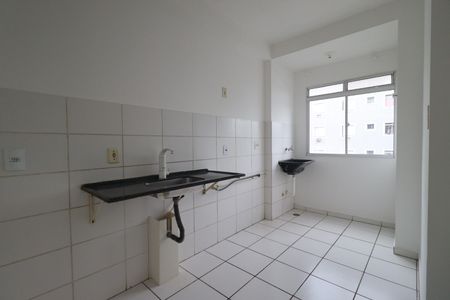 Cozinha de apartamento para alugar com 2 quartos, 50m² em Jardim Florestan Fernandes, Ribeirão Preto