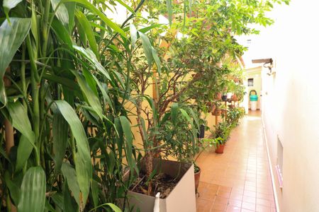 Casa à venda com 167m², 5 quartos e 2 vagasCorredor Lateral Orquidário