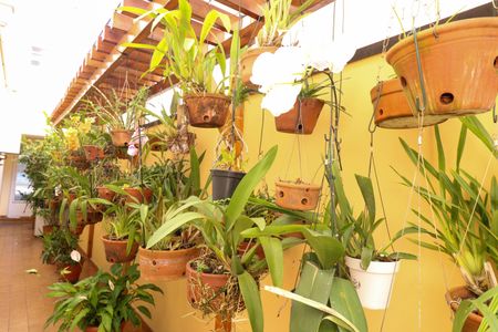 Casa à venda com 167m², 5 quartos e 2 vagasCorredor Lateral Orquidário