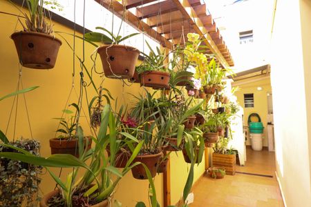 Casa à venda com 167m², 5 quartos e 2 vagasCorredor Lateral Orquidário