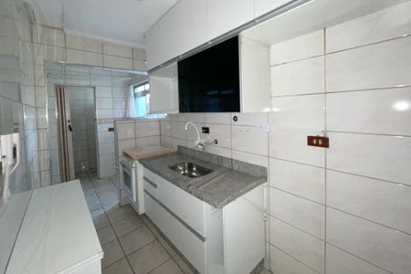 Apartamento para alugar com 52m², 2 quartos e 1 vagaCozinha - Armários