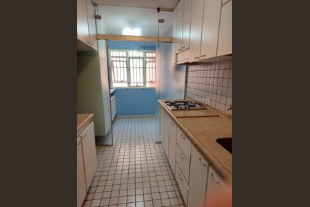 Cozinha de apartamento para alugar com 3 quartos, 100m² em Jardim Ampliacao, São Paulo
