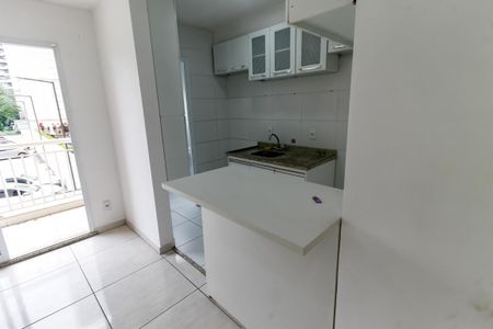 Apartamento para alugar com 56m², 2 quartos e 1 vagaCozinha - Armários