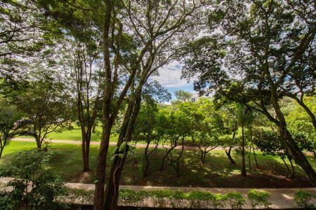 Vista da Sala de apartamento para alugar com 3 quartos, 119m² em Sqn 313, Brasília