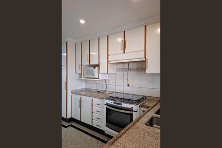 Apartamento para alugar com 280m², 5 quartos e 3 vagasCozinha 