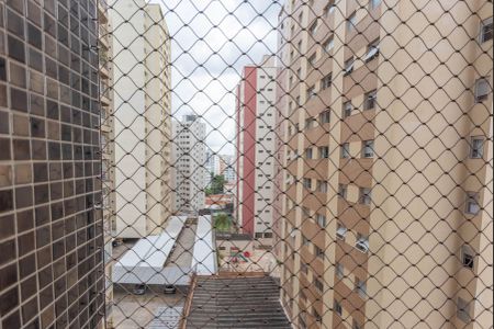 Apartamento à venda com 115m², 3 quartos e 2 vagasVista da Suíte