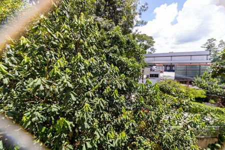 Vista do Quarto 2 de apartamento para alugar com 2 quartos, 50m² em Furnas, São Paulo