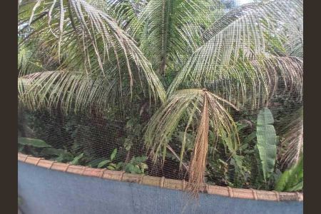 Casa de condomínio à venda com 107m², 3 quartos e 1 vaga