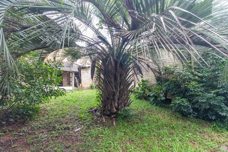 Casa à venda com 1000m², 3 quartos e 4 vagas Casa à venda com 1000m², 3 quartos e 4 vagasQuintal