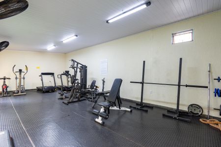 Apartamento à venda com 67m², 4 quartos e 1 vagaÁrea comum - Academia