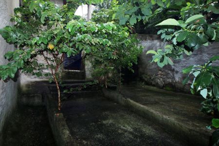 Casa para alugar com 324m², 6 quartos e sem vagaQuintal