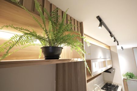 Apartamento à venda com 62m², 3 quartos e 1 vaga Apartamento à venda com 62m², 3 quartos e 1 vagaCozinha