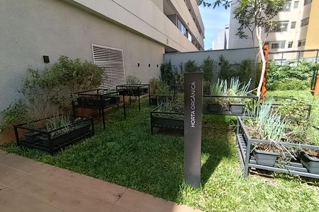 Studio para alugar com 22m², 1 quarto e sem vagaHorta Orgânica