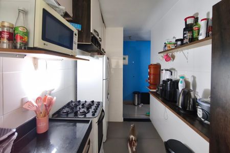 Apartamento à venda com 66m², 2 quartos e 1 vaga Apartamento à venda com 66m², 2 quartos e 1 vagaCozinha