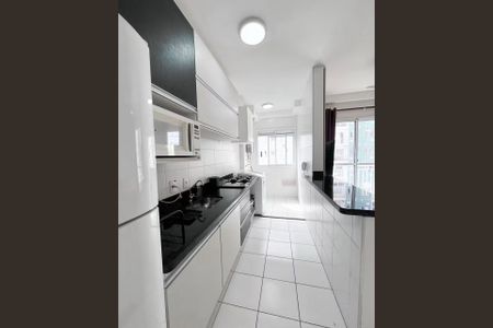 Cozinha de apartamento para alugar com 2 quartos, 50m² em Cidade Ocian, Praia Grande