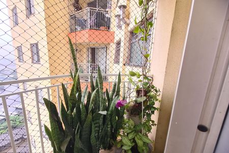 Varanda da Sala de apartamento para alugar com 3 quartos, 72m² em Sítio Pinheirinho, São Paulo
