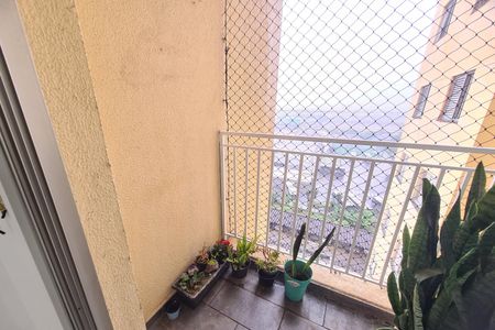 Varanda da Sala de apartamento para alugar com 3 quartos, 72m² em Sítio Pinheirinho, São Paulo