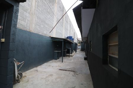 Casa para alugar com 25m², 1 quarto e sem vagaQuintal