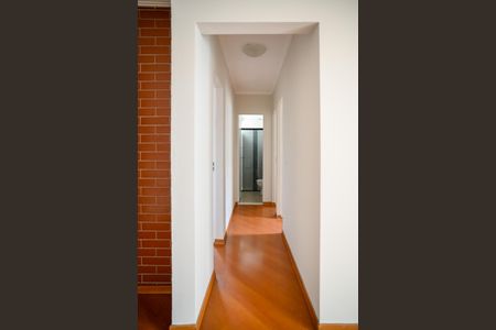 Corredor de apartamento para alugar com 3 quartos, 65m² em Jardim Botucatu, São Paulo