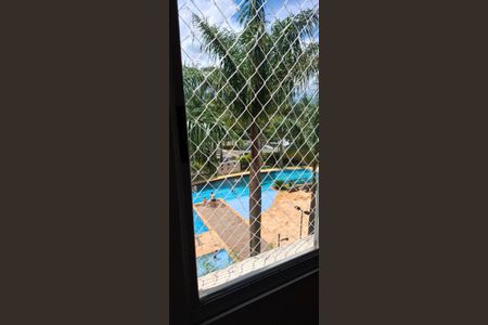 Apartamento para alugar com 70m², 3 quartos e 1 vaga Apartamento para alugar com 70m², 3 quartos e 1 vagaJanela do quarto