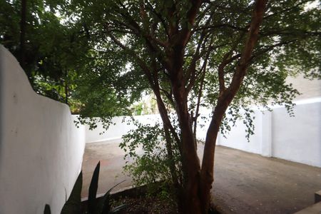 Casa à venda com 155m², 2 quartos e 2 vagasQuintal