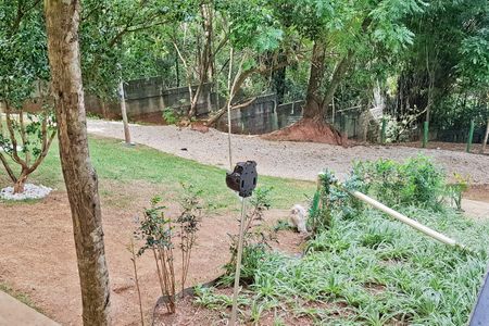 Apartamento para alugar com 65m², 3 quartos e 2 vagas Apartamento para alugar com 65m², 3 quartos e 2 vagasEspaço pet