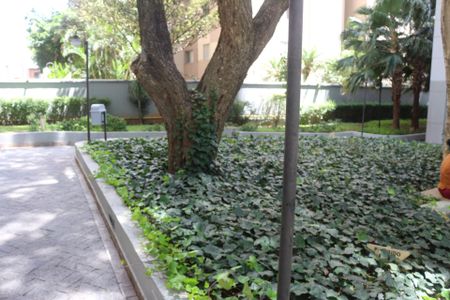 Apartamento à venda com 60m², 3 quartos e 1 vagaÁrea comum