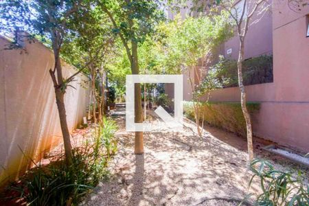 Apartamento para alugar com 78m², 3 quartos e 1 vagaÁrea comum - Bosque