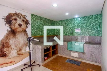 Apartamento para alugar com 78m², 3 quartos e 1 vagaÁrea comum