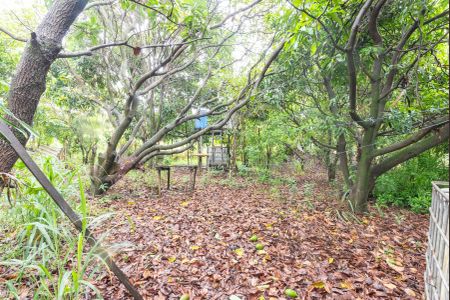 Casa para alugar com 200m², 3 quartos e 20 vagasQuintal