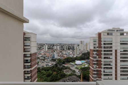Apartamento para alugar com 242m², 3 quartos e 3 vagasVista - Cozinha