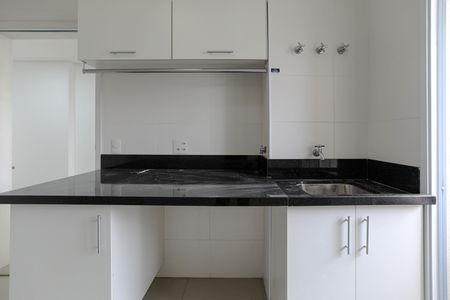 Apartamento para alugar com 242m², 3 quartos e 3 vagasCozinha