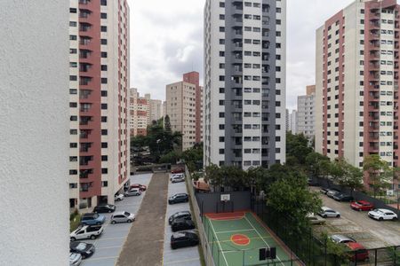 Apartamento para alugar com 37m², 2 quartos e sem vaga Apartamento para alugar com 37m², 2 quartos e sem vagaVista da Lavanderia