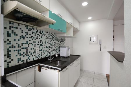 Apartamento à venda com 50m², 2 quartos e 1 vagaCozinha - Armários