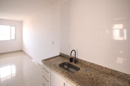 Apartamento para alugar com 40m², 2 quartos e 1 vagaCozinha - Armários